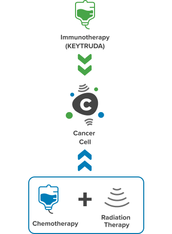 FIGO 2014 Stage 3 To 4A Cervical Cancer Treatment Options With KEYTRUDA Infographic Mobile V3